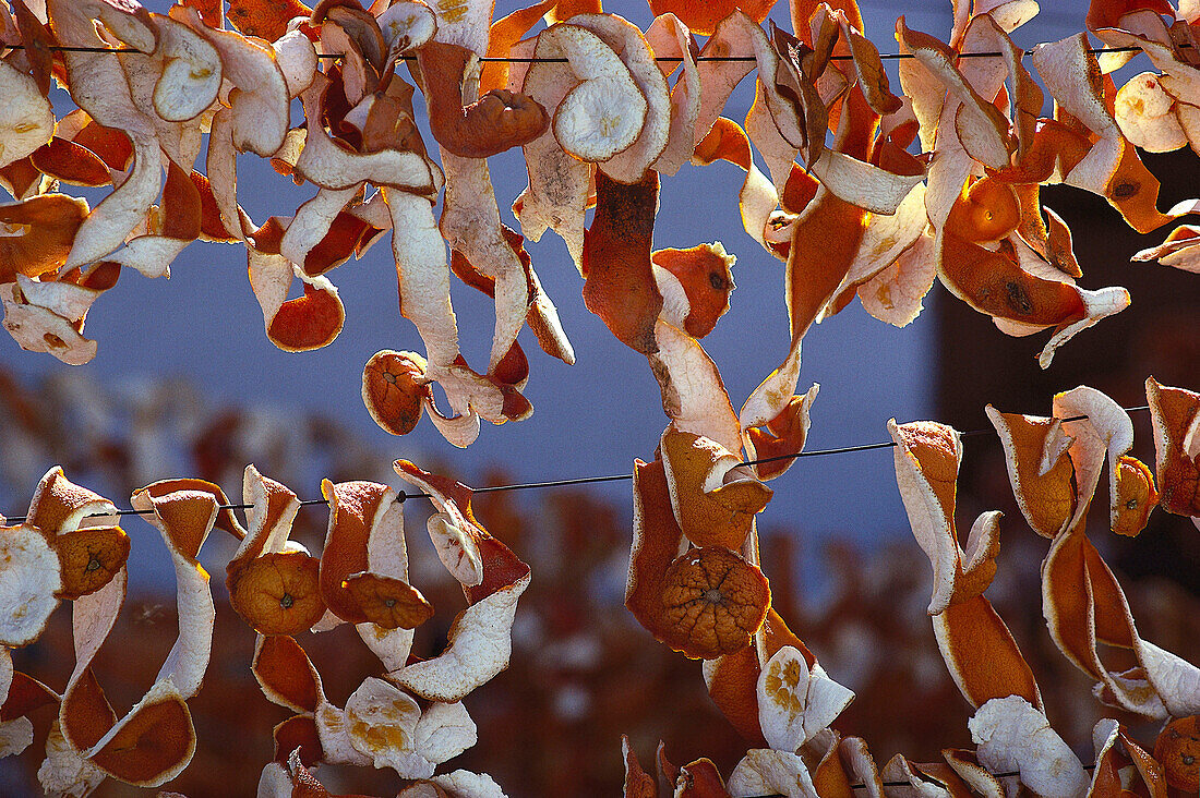 Trocknende Orangenschalen im Dorf Alora, Provinz Malaga, Andalusien, Spanien, Europa