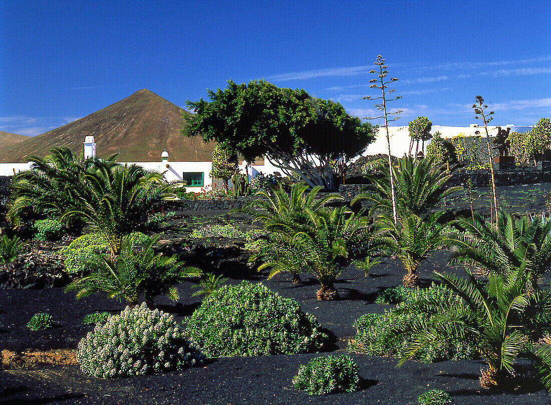 Fundación César Manrique, ehem. Manriques Haus, Tahiche Lanzarote, Kanar. Inseln, Spanien