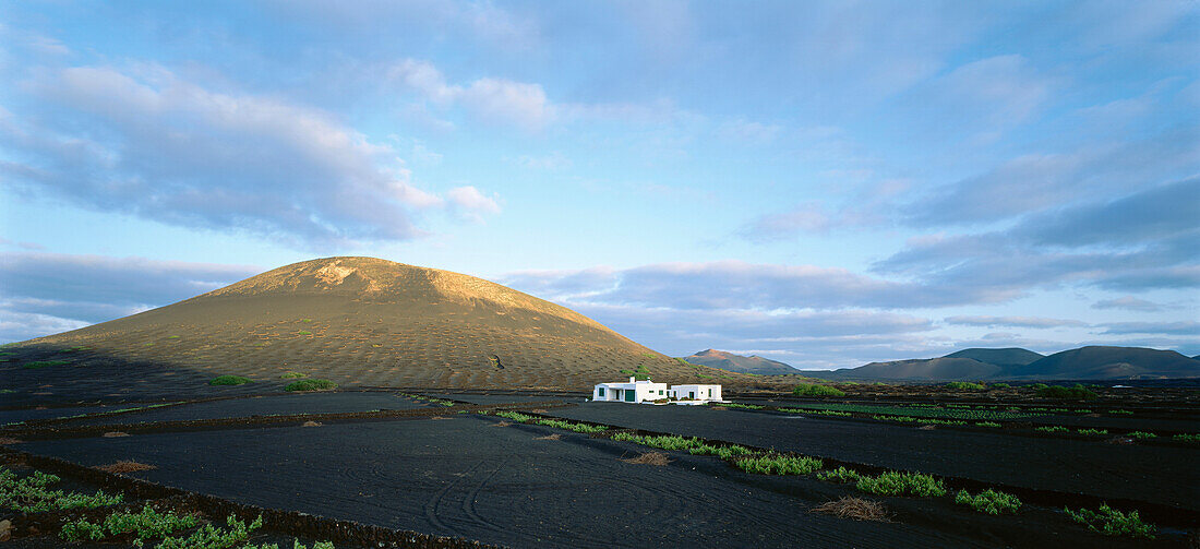 Landhaus, vulkanische Landschaft, Weinberg, La Geria, Lanzarote, Kanarische Inseln, Spanien