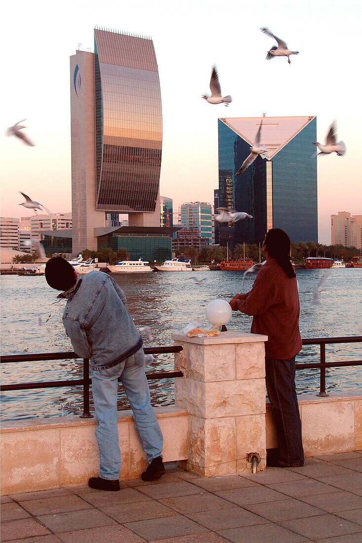 Männer füttern Möwen am Dubai Creek, Dubai, VAE, Vereinigte Arabische Emirate, Vorderasien, Asien