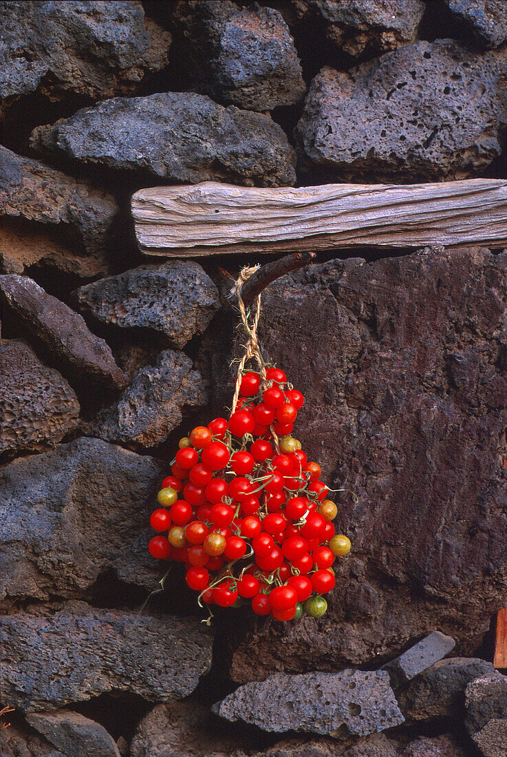 Freilichtmuseum bei Frontera, Tomaten, El Hierro, Kanarische Inseln Spanien, STUeRTZ Seite 9 o.re.