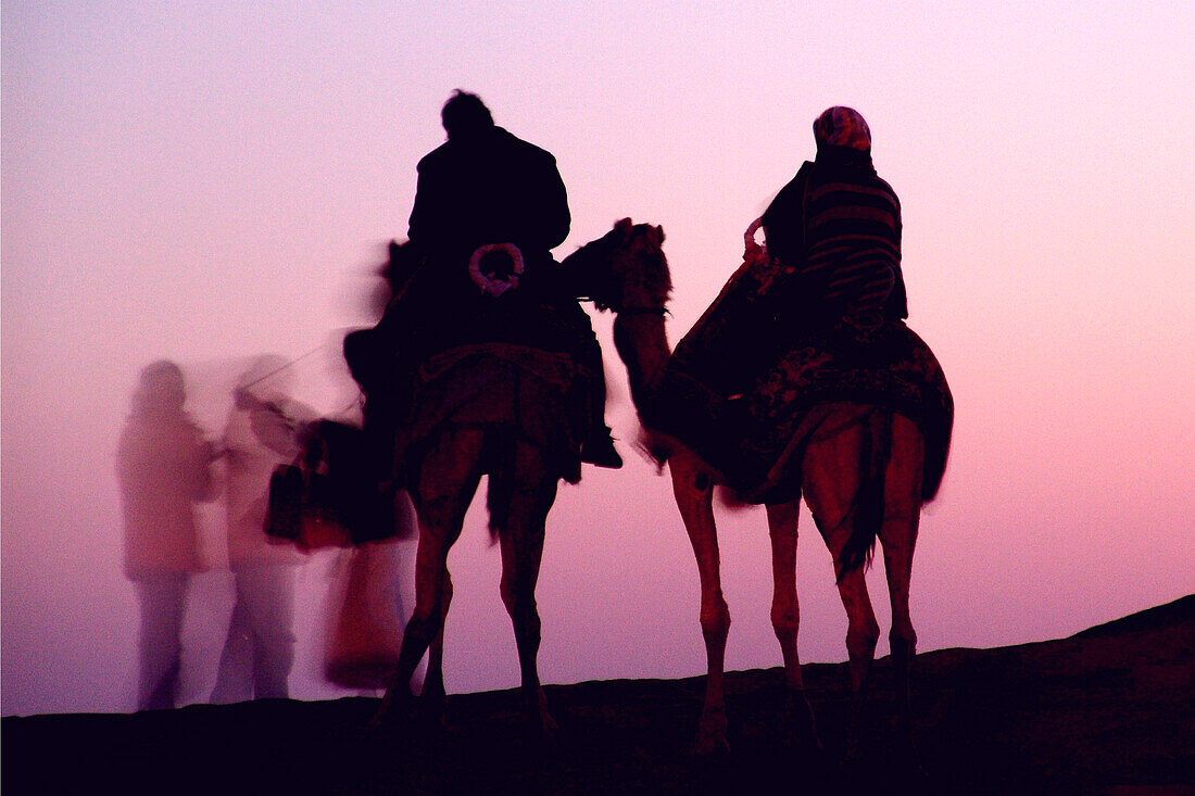 Touristen reiten auf Kamelen, Dubai, Vereinigte Arabische Emirate