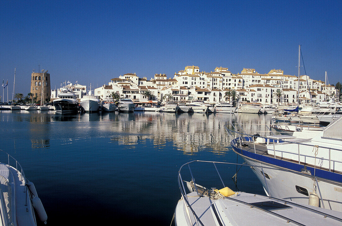 Boats at harbour Puerto Banús, Marbella, Province of Malaga, Andalusia, Spain, Europe