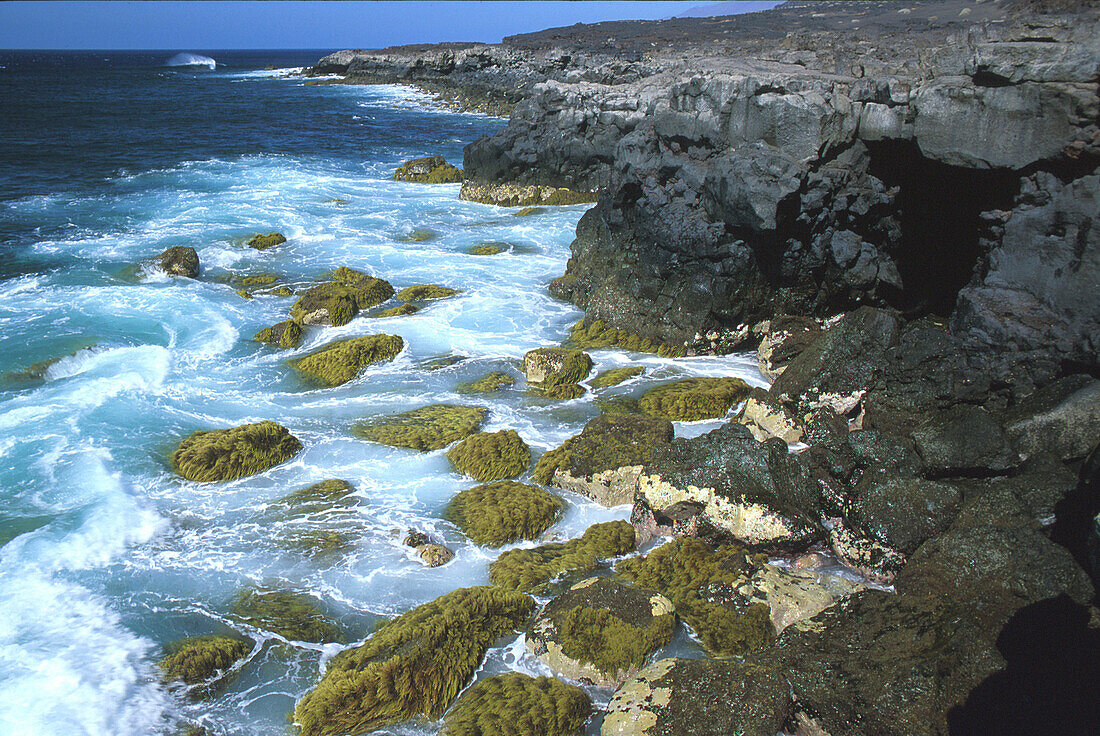 Kueste, Meer, bei La Restinga, El Hierro, Kanarische Inseln Spanien