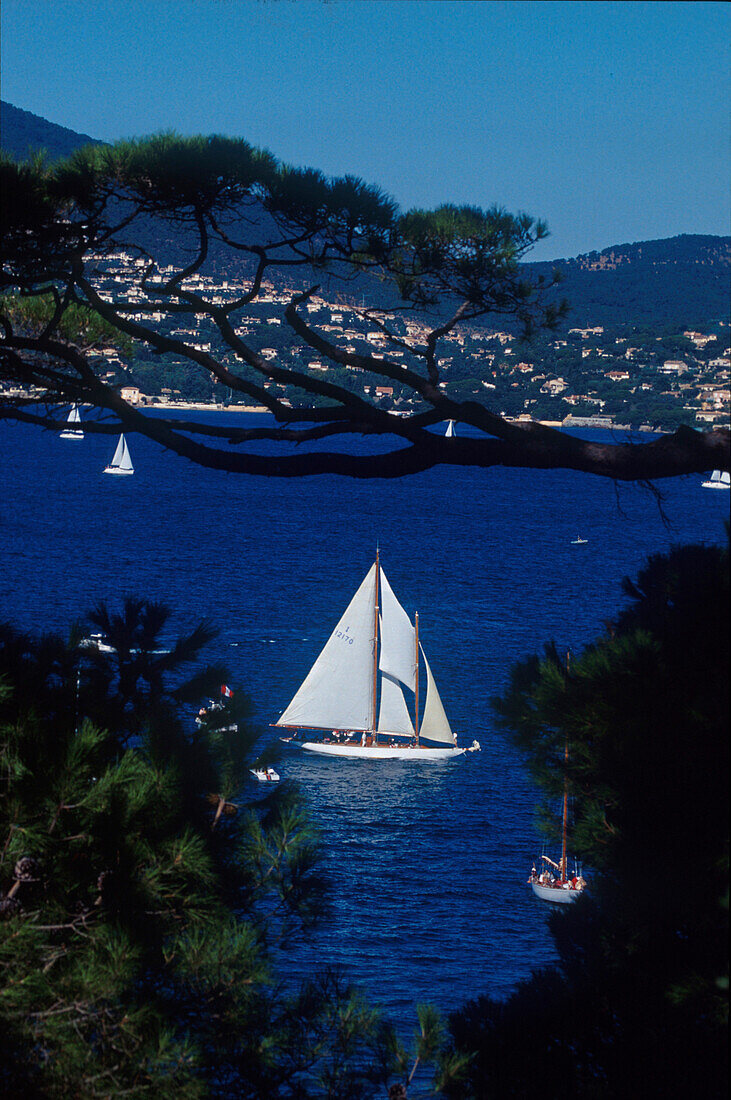 Segelboote, Golf von St. Tropez, Côte d'Azur Provence, Frankreich