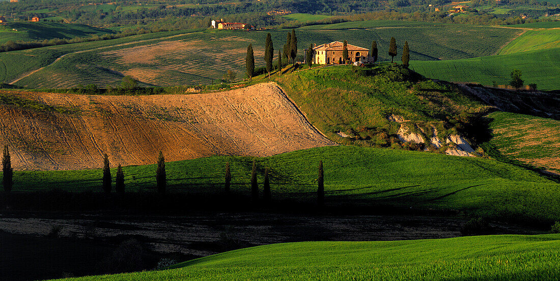 Landhaus mit Zypressen, San Quirico d'Orcia Toskana, Italien