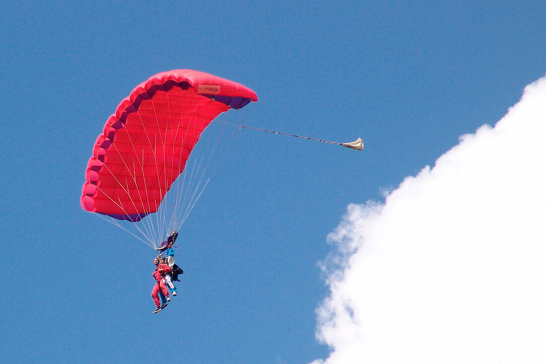 Fallschirmspringer bei einem Tandemsprung, Gransee, Brandenburg, Deutschland, Europa