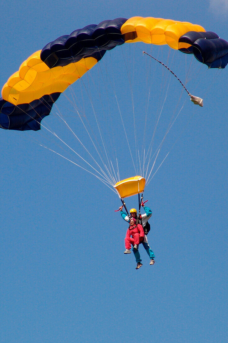 Sky divers at a tandem jump, Airport Gransee, Brandenburg, Germany, Europe