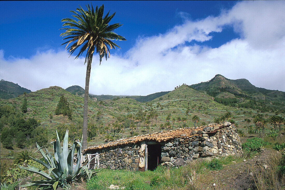 Bechijigua valley, La Gomera, Canary Islands, Spain