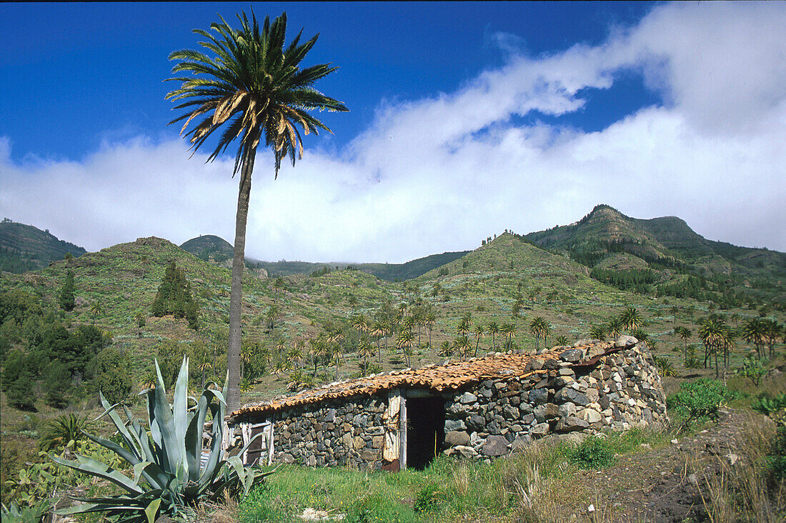 Tal von Bechijigua, La Gomera, Kanarische Inseln, Spanien