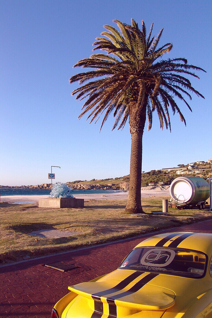 Palme und Sportwagen an einer Bucht, Camps Bay, Kapstadt, Südafrika, Afrika