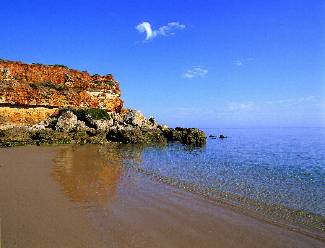 Playa Cala del Aceite b. Conil, Costa de la Luz, Provinz Cádiz Andalusien, Spanien