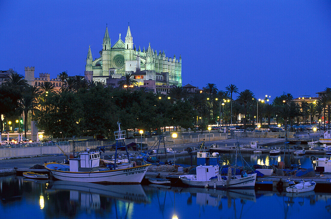 Fischerhafen und Kathedrale la seu im Abendlicht, Palma de Mallorca, Mallorca, Balearen, Spanien