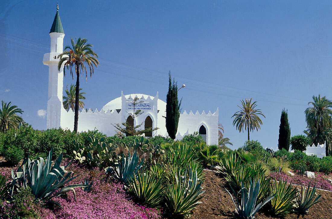Moschee des Koenig Abdul Aziz al Saud, Marbella, Provinz Malaga Andalusien, Spanien