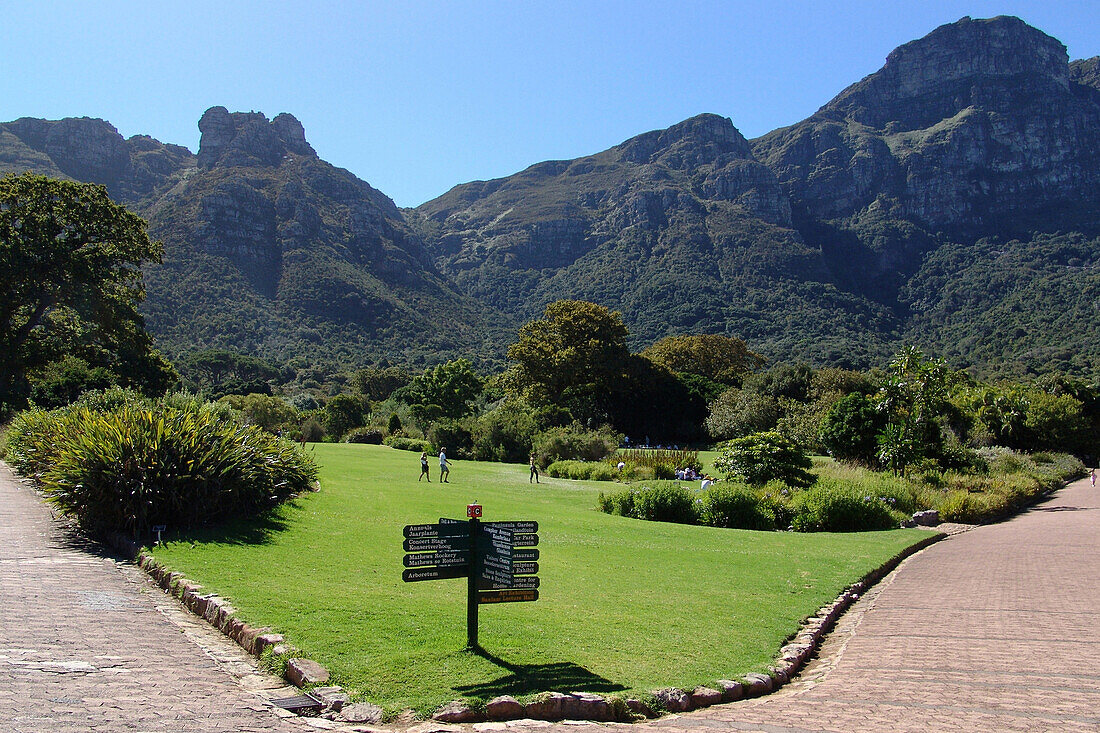Kirstenbosch Botanical Gardens in the sunlight, Cape Town, South Africa, Africa