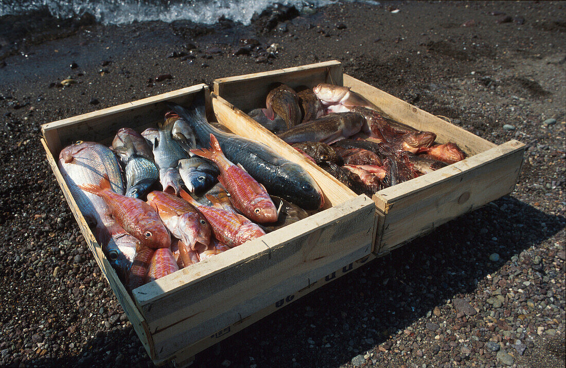 Fischfang, La Isleta del Moro, Cabo de Gata, Provinz Almeria Andalusien, Spanien