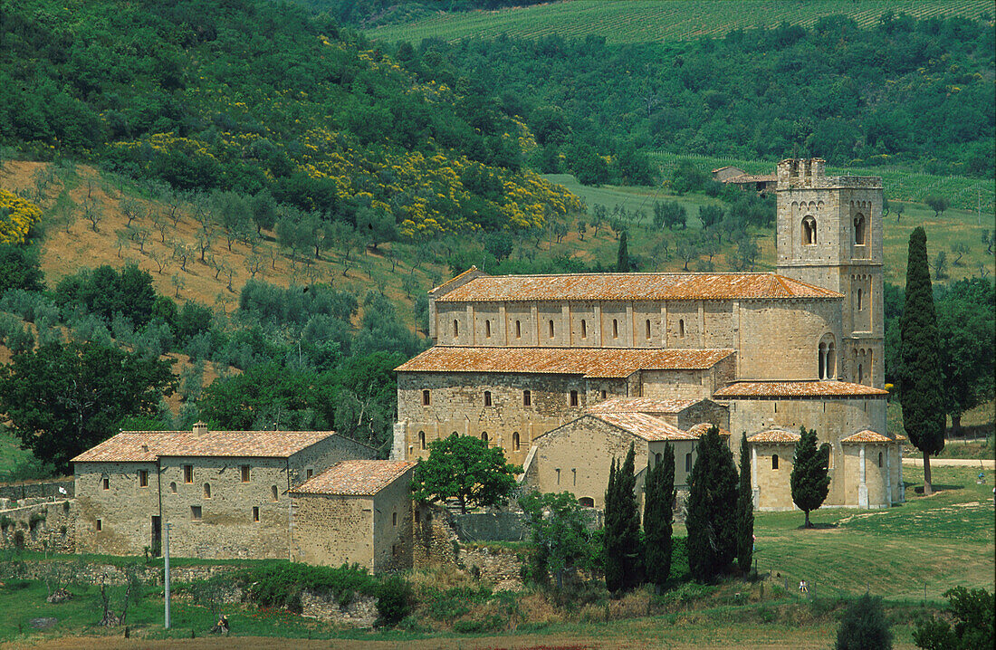 Klosterkirche San Ántimo, bei Montalcino, Toskana, Italien, Europa
