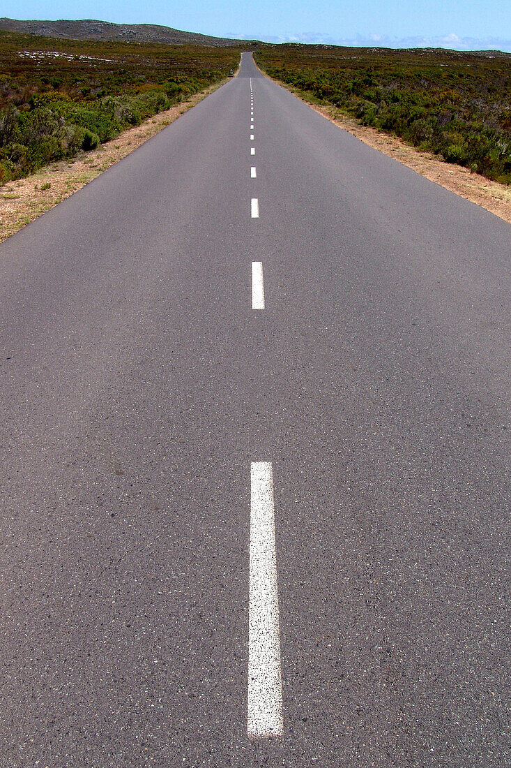 Empty country road at peninsula, Cape Town, South Africa, Africa