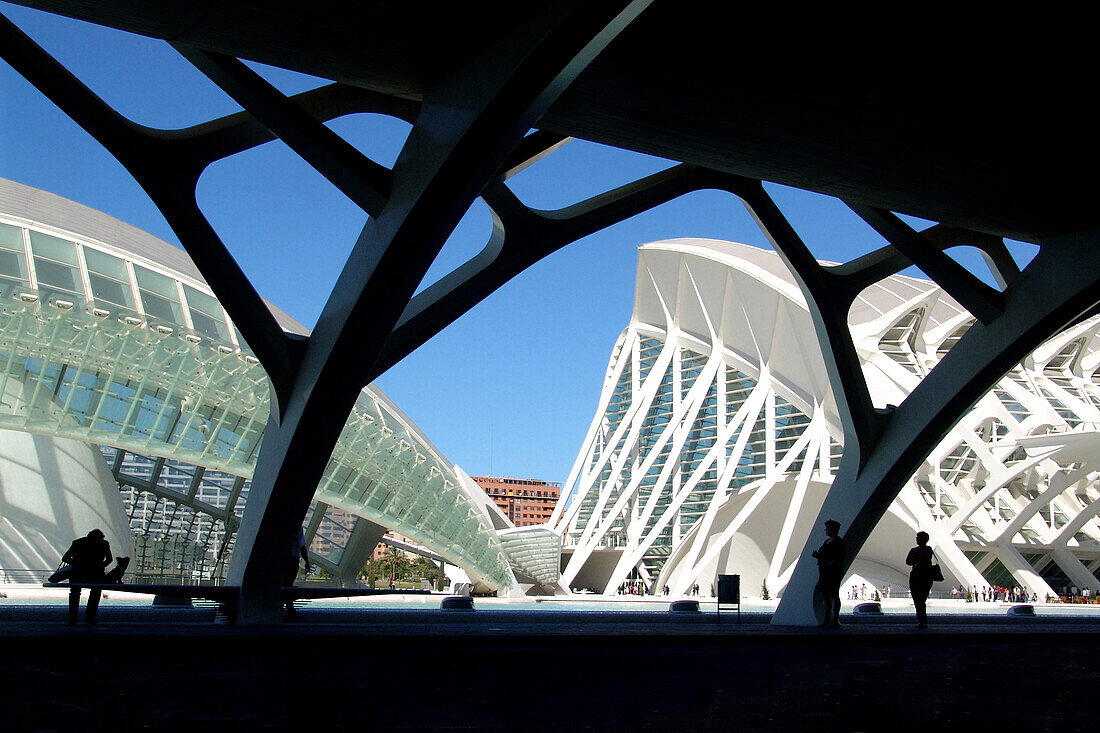 Stadt der Künste und Wissenschaften, Valencia, Spanien