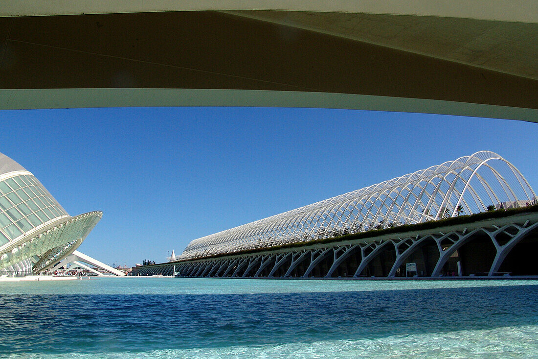 Moderne Gebäude in der Stadt der Künste und der Wissenschaften, Valencia, Spanien, Europa