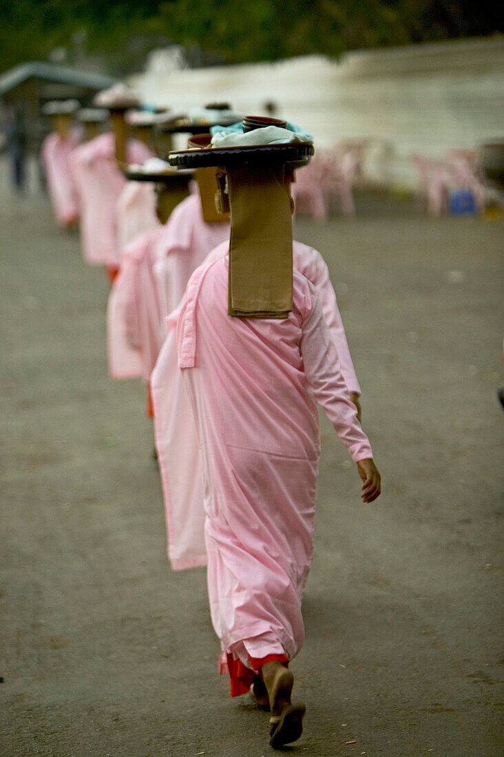 Line of nuns in pink robes, Reihe Nonnen in rosa Gewand gehen Almosen sammeln