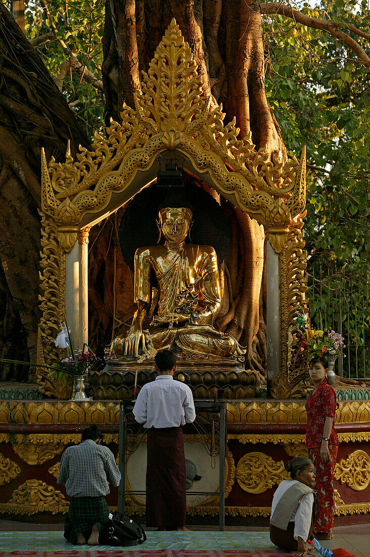 Shwedagon Pagoda, Burma, Myanmar, praying in front of Buddha statue