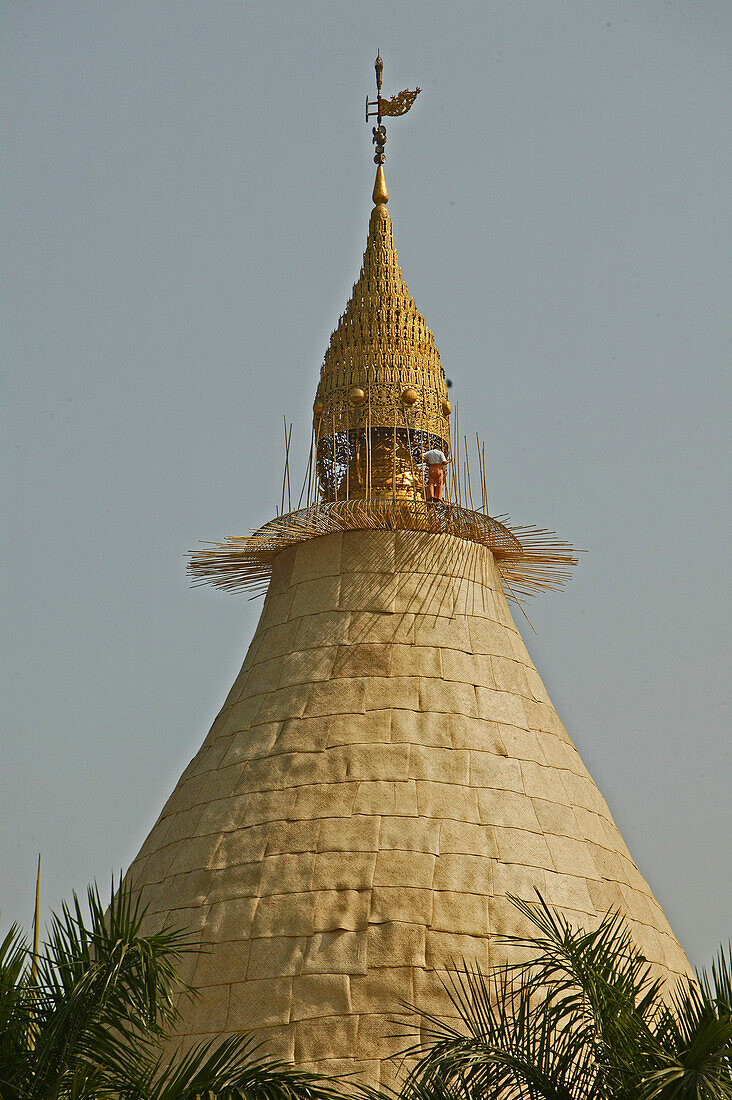 Shwedagon Pagode mit Baugerüst, Myanmar, Burma, Asien