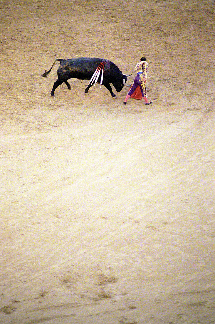 Bullfight, Madrid, Spain