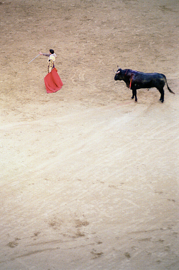 Bullfight, Madrid, Spain