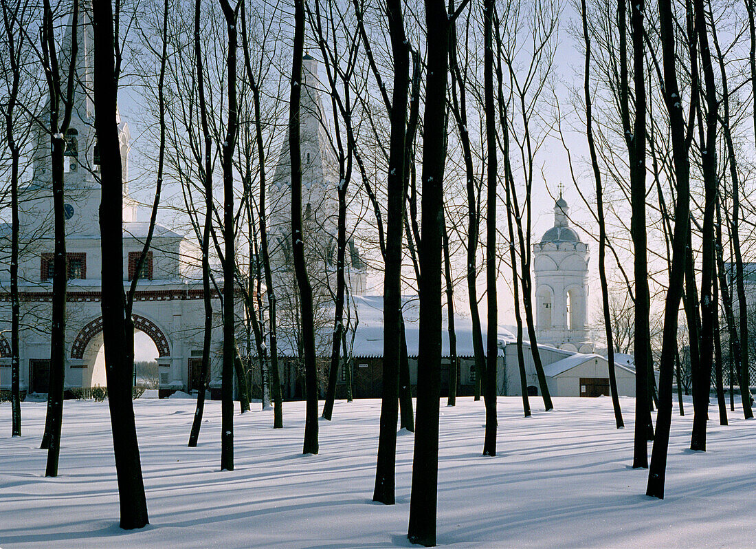Wald, Residenz von Kolomenskoje, Moskau, Russland