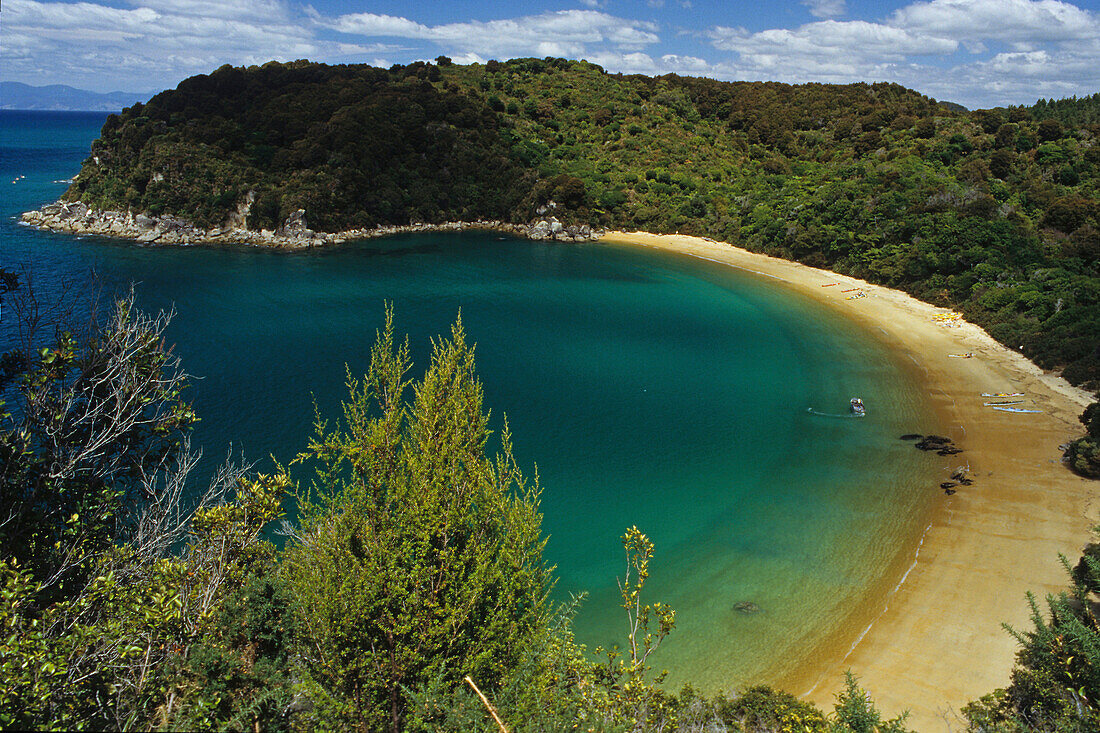 Mutton Cove, beach in a bay in the sunlight, Abel Tasman Coast Track, Abel Tasman National Park, New Zealand, Oceania