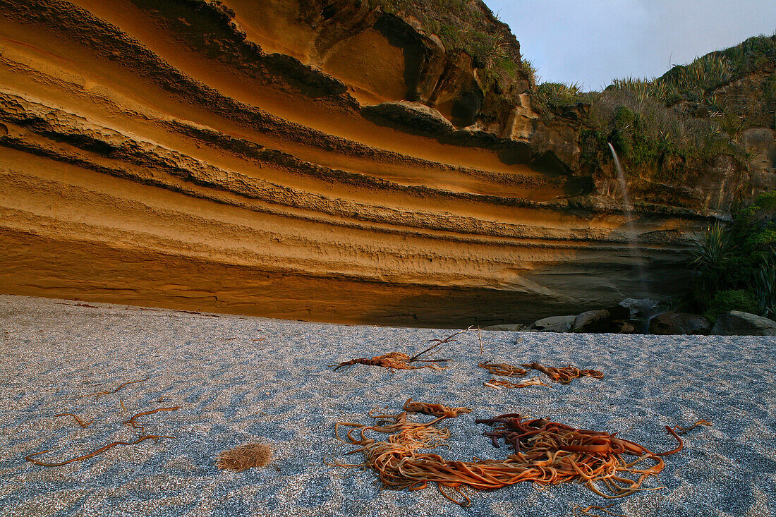 Limestone sea cliffs, near Punakaiki, beach below the Truman Track near Punakaiki, Paparoa NP, wild west coast, South Island, New Zealand