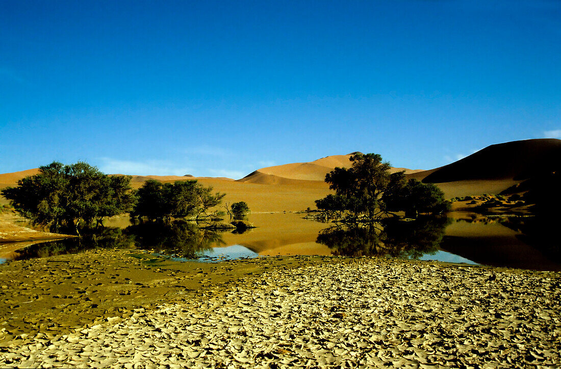 Water in Namib Desert, Namib Desert, Namibia, Africa