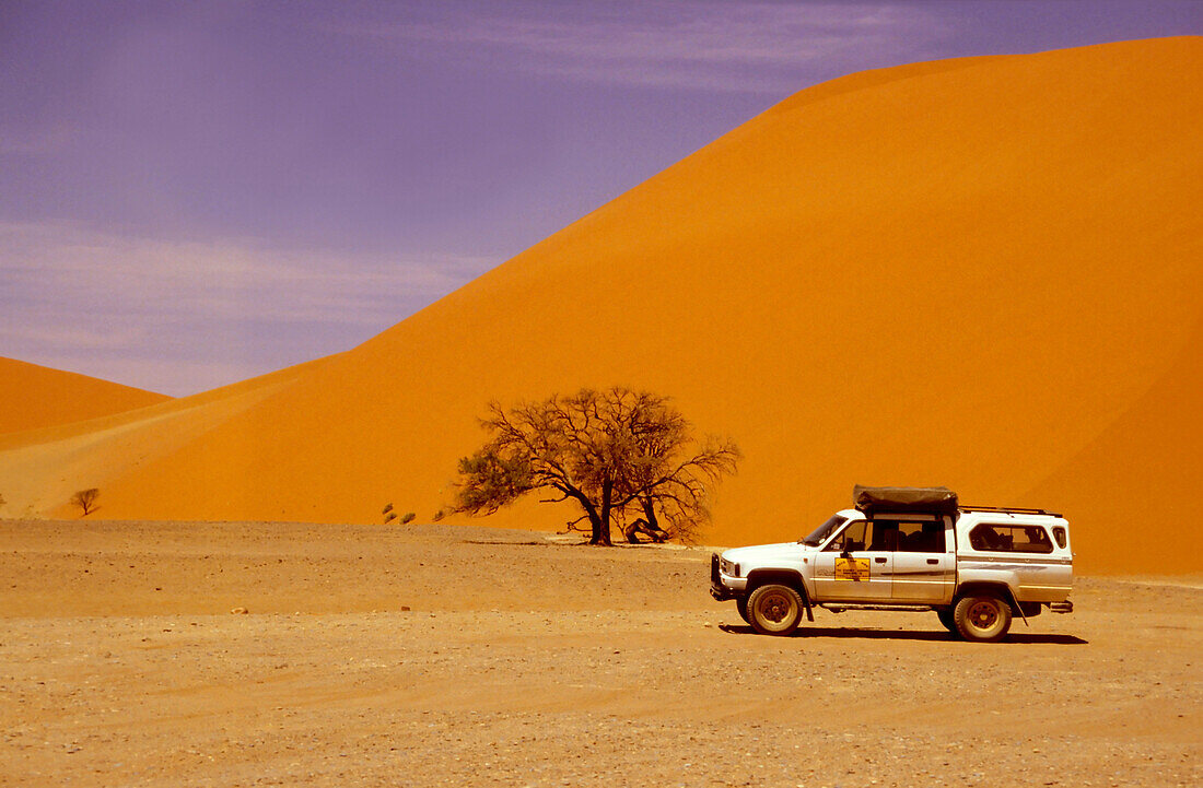 Safari at Namib Desert, Namib Desert, Namibia, Africa