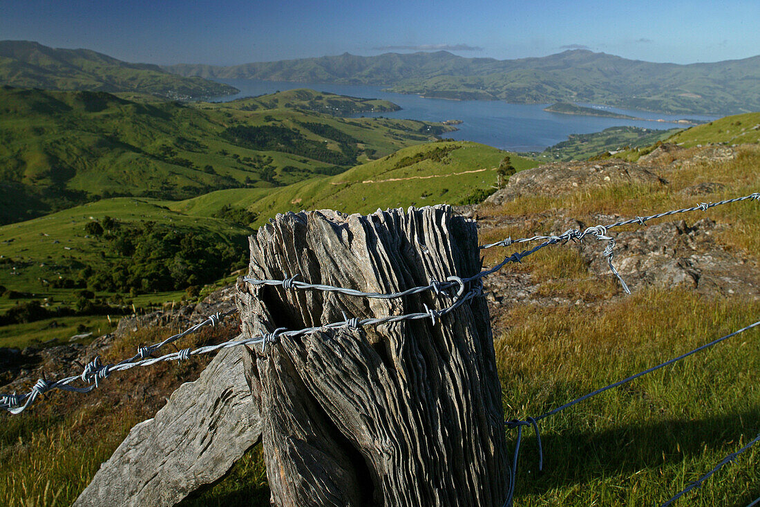 Banks Peninsula, near Christchurch, View, old fence, barbed wire, grazing land above Banks Peninsula, Stacheldrahtzaun, Agrarlandschaft ueber Banks Halbinsel, Aussicht