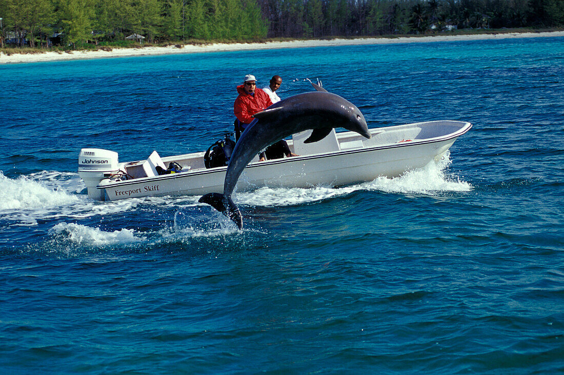 Boot and Delphin, Grand Bahama Bahamas