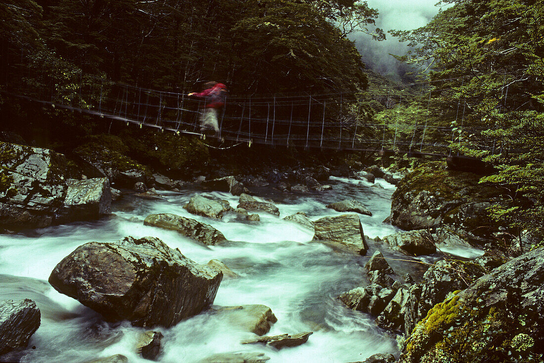 Hikers on swing bridge, NZ, Swingbridge, walkers, Routeburn Track, one of New Zealand's Great Walks, 3-5 Tage subalpine forest, mountain, southern beech, Mount Aspiring National Park, alpine scenery