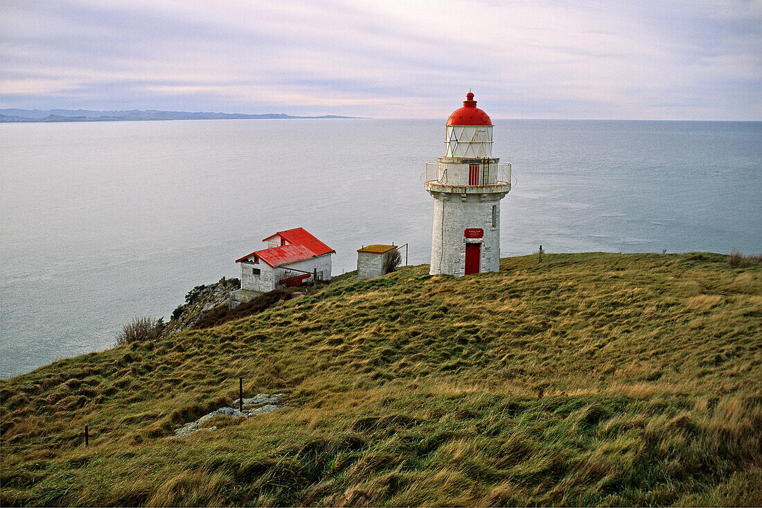 Lighthouse, Taiaroa Head, Otago, red and white lighthouse on Otaga Peninsula, east coast South Island, Leuchturm, Otago Halbinsel