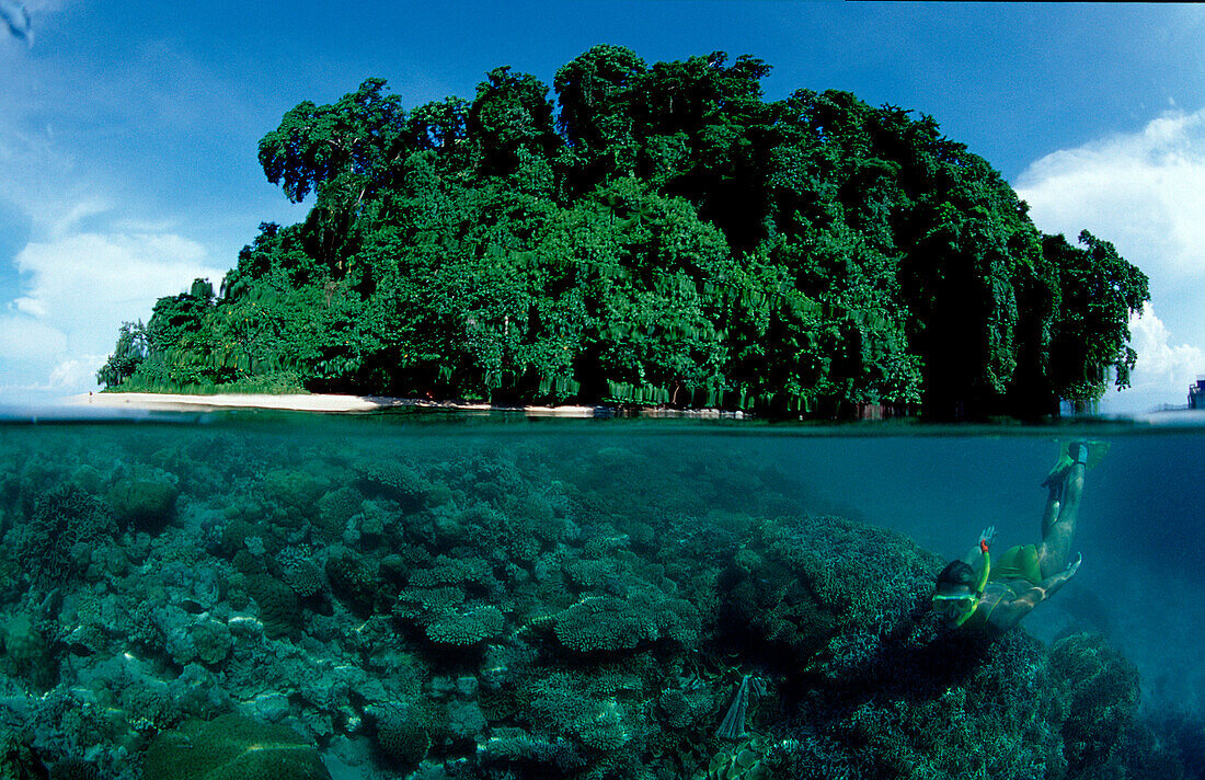 Schnorcheln vor tropischer Insel, Snorkeling, scin, scin diver, split image