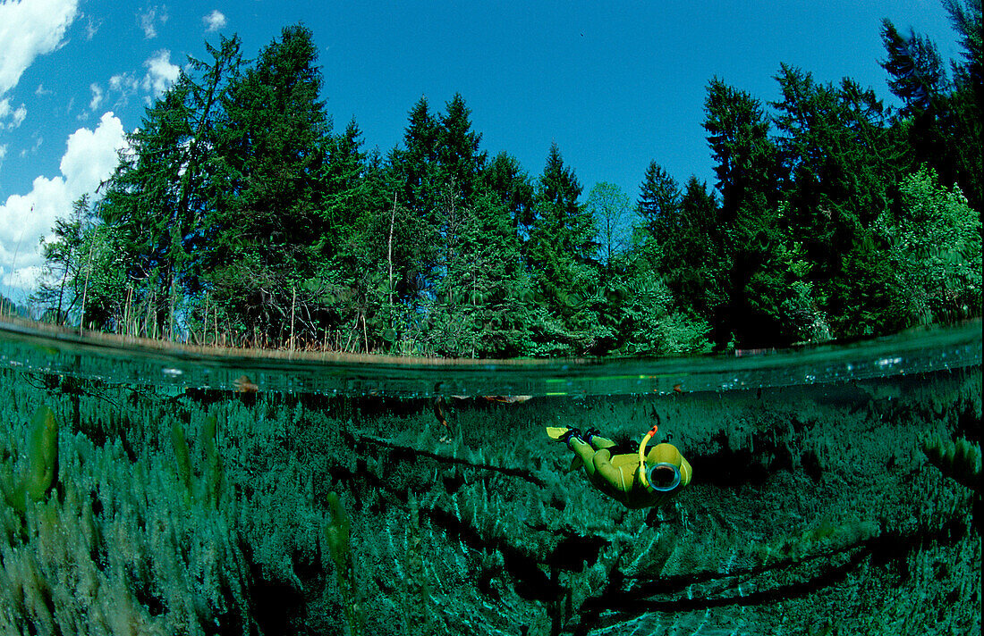 Gebirgsquelle mit Schnorchler, freshwater spring a, freshwater spring and scindiver