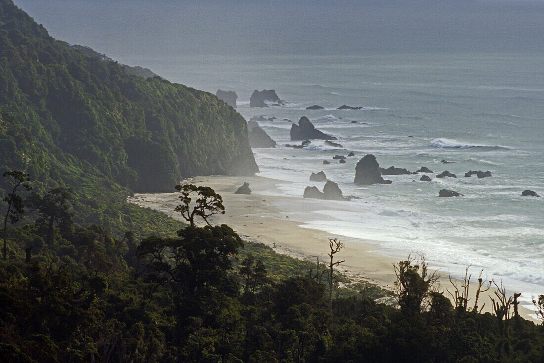 Küstenlandschaft und Strand im Nebel, Knights Point, Westküste, Tasmanische See, Südinsel, Neuseeland, Ozeanien