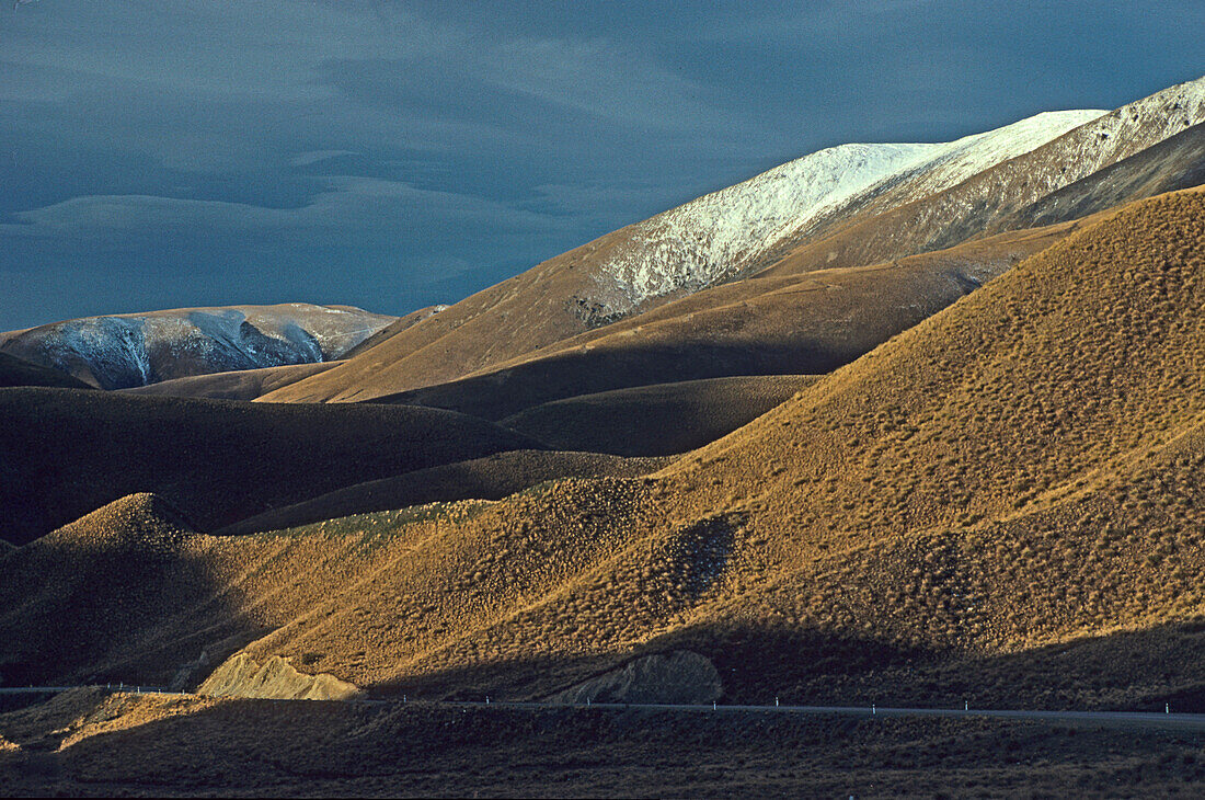 Tussock grass, Lindis Pass, Grasslands, Lindis Pass Scenic Reserve South Island