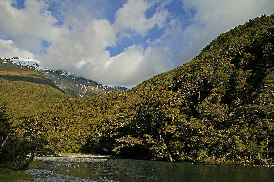 Fluss an der Strasse zum Haast Pass unter Wolkenhimmel, Südinsel, Neuseeland, Ozeanien