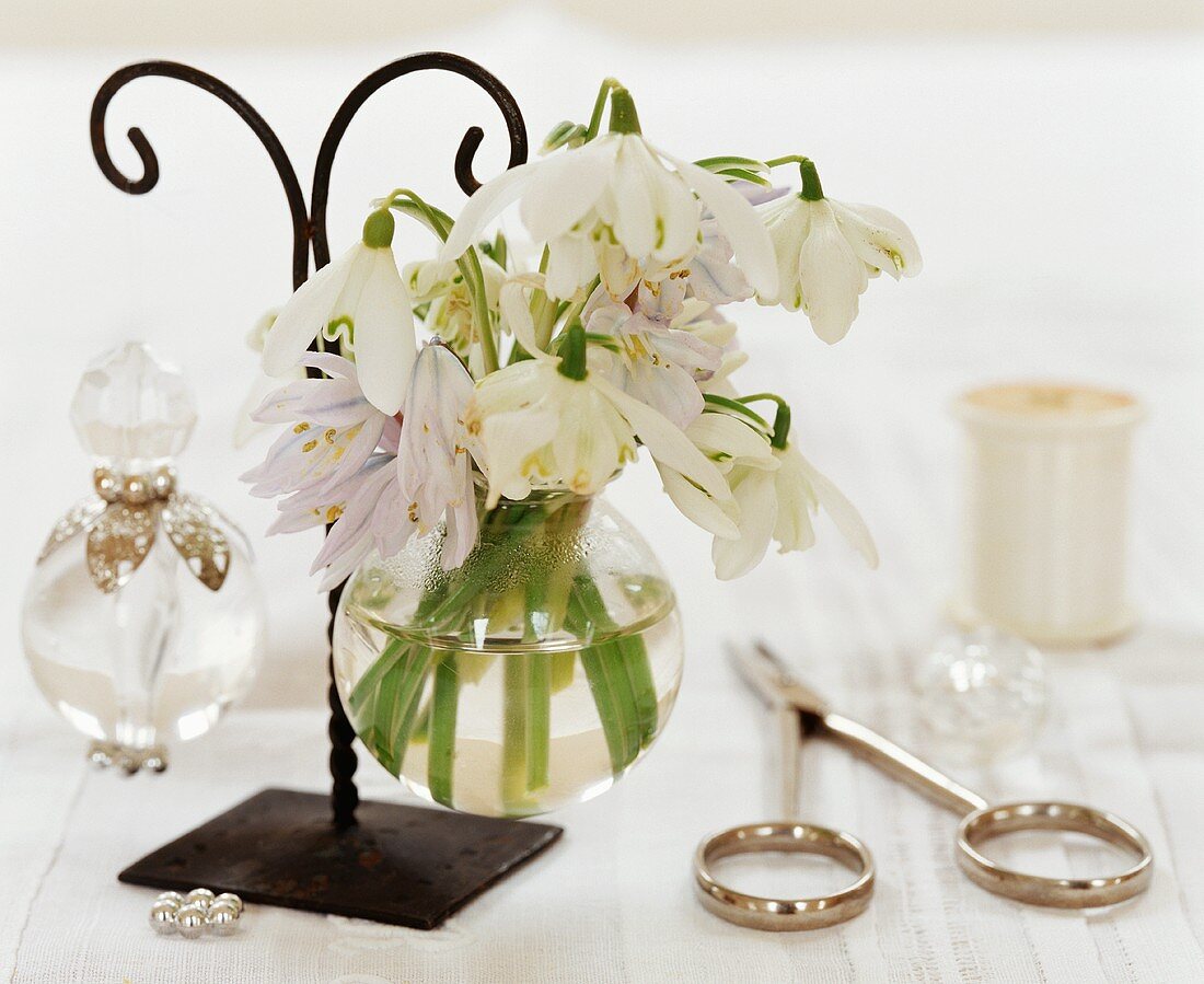 Snowdrops in a glass vase and bathroom utensils