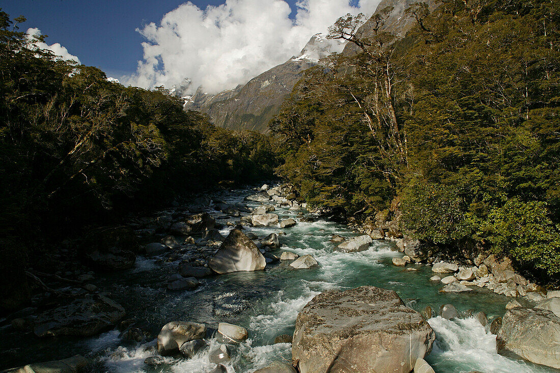 Mountain stream at Fiordland National Park, Milford Road, South Island, New Zealand, Oceania