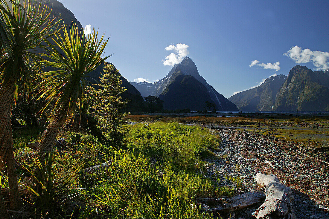 View of mountains and fiord Milford Sound, Fiordland National Park, South Island, New Zealand, Oceania
