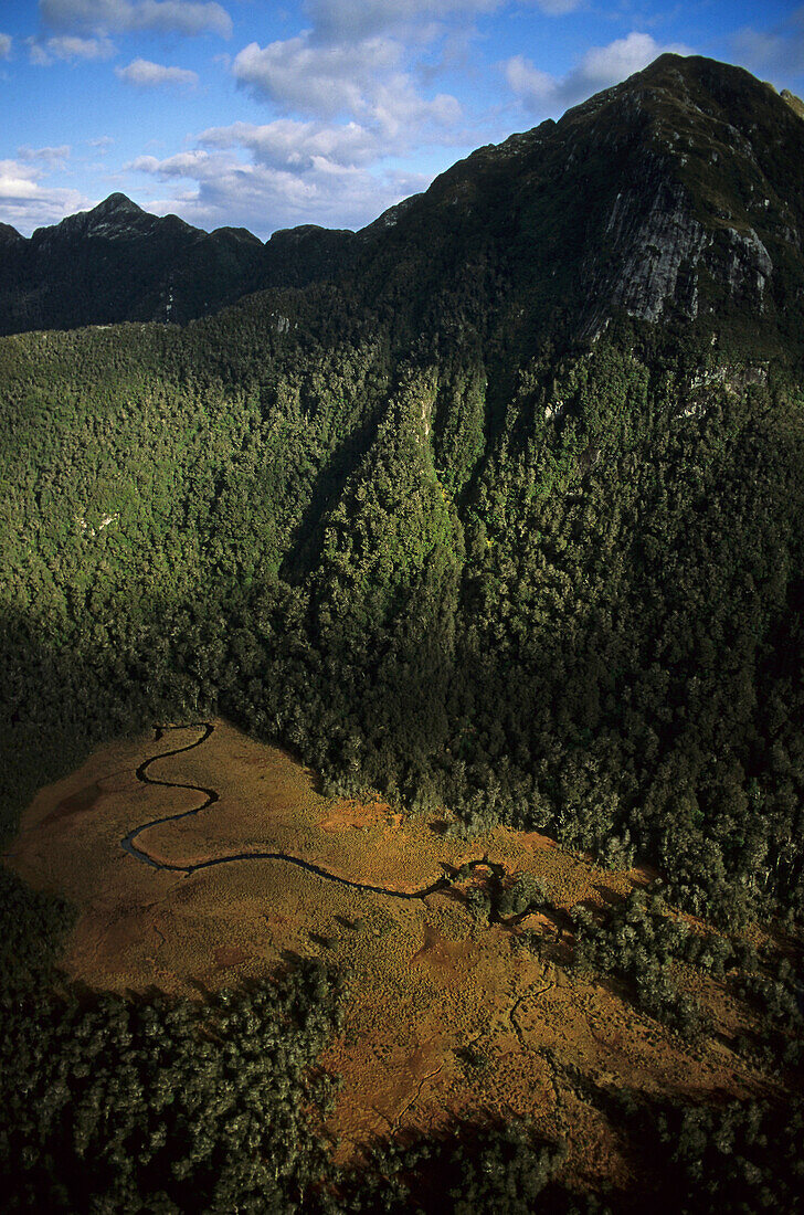 Aerial wilderness, Fiordland NP, NZ, Luftaufnahme, Wildnis, west coast South Island, river flat Fiordland National Park