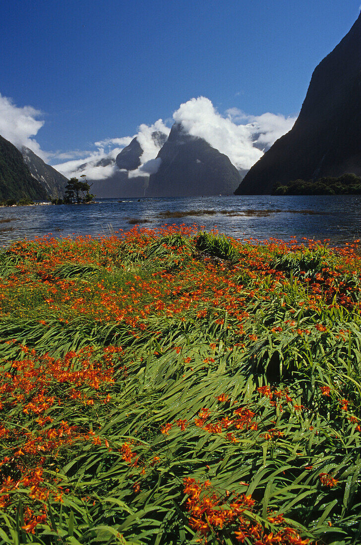 Fiordland Nationalpark, Mitre Peak, Milford Sound, Südinsel, Neuseeland