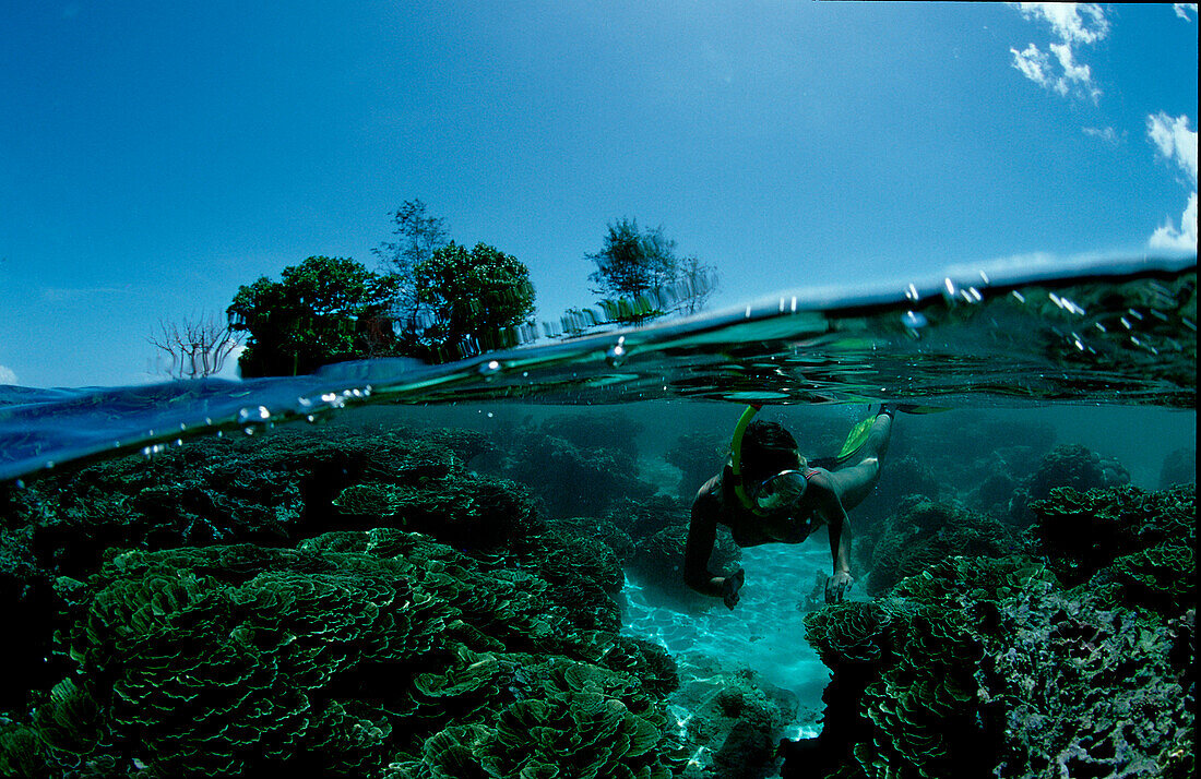 Schnorchlerin vor tropischer Insel, Snorkeling nea, Snorkeling near an tropical island, Scin diver, split image