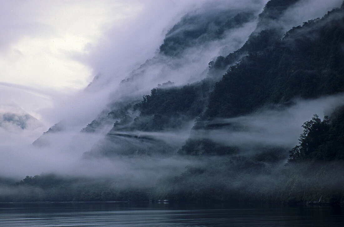 Morgennebel über dem Doubtful Sound Fjord, Fiordland Nationalpark, Südinsel, Neuseeland, Ozeanien
